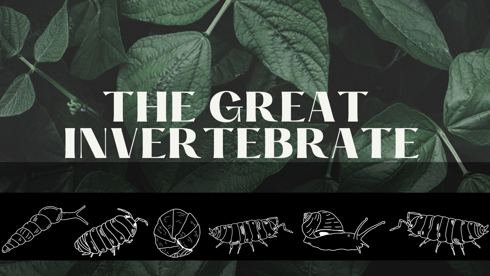 Horticultural Charcoal – The Great Invertebrate