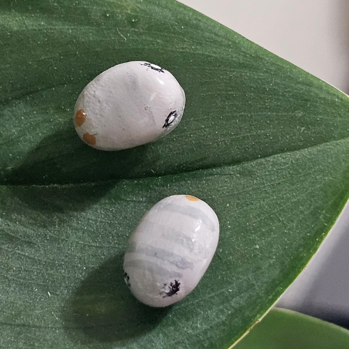 Handmade Clay Isopod Plant Charm- Cubaris murina wild type