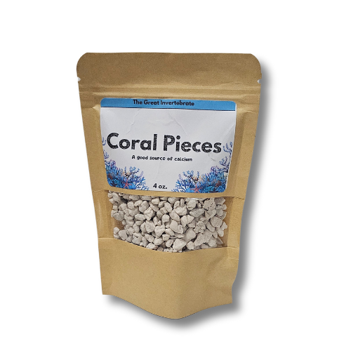 Crushed Coral Pieces