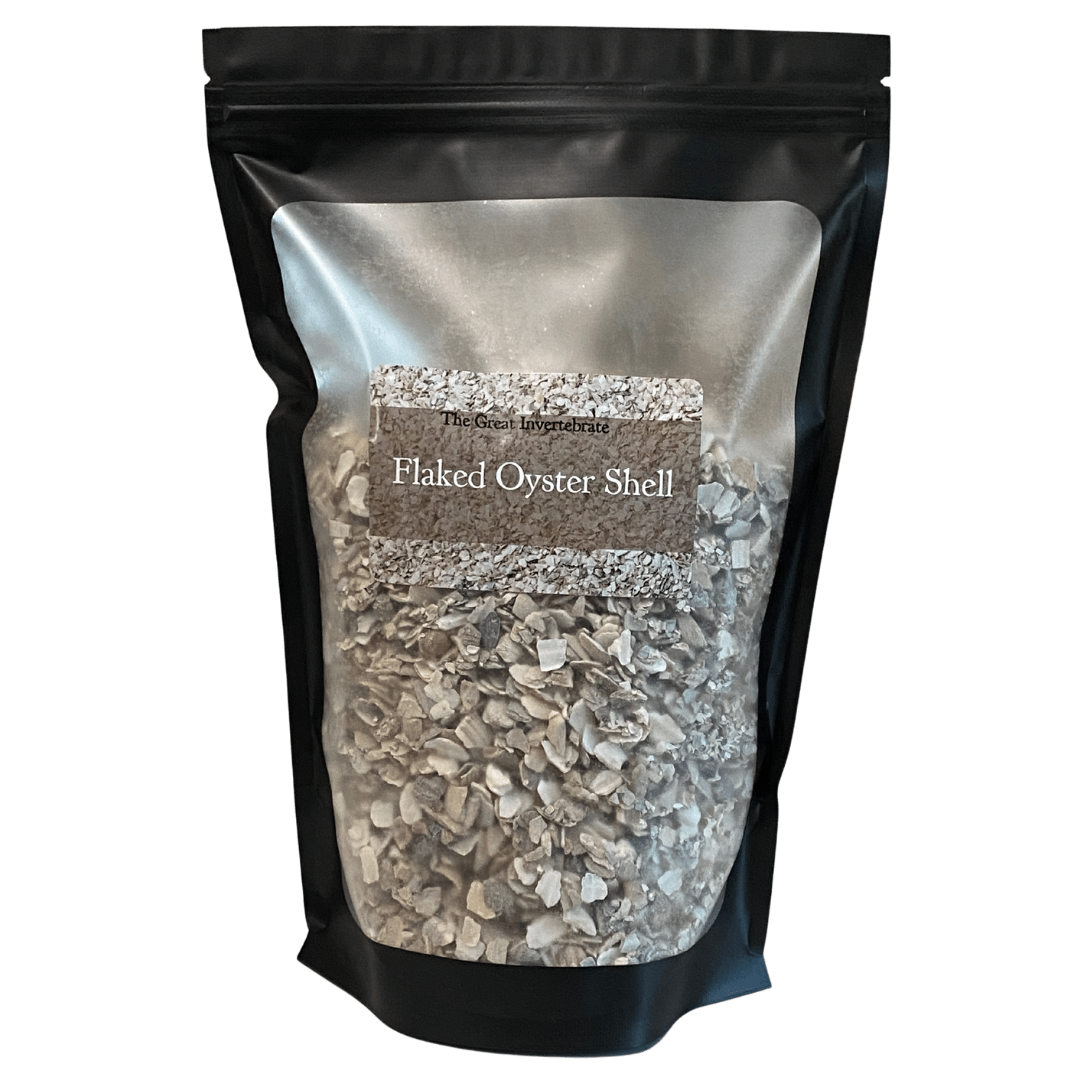 Flaked Oyster Shell