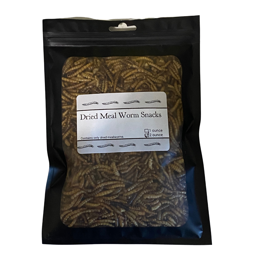 Dried Mealworm Snacks