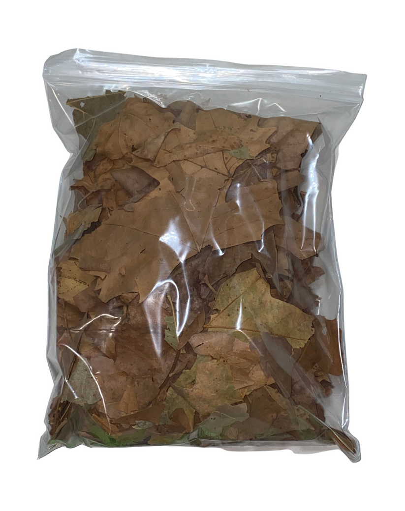 Sycamore Leaf Litter for isopods, millipedes, tarantulas, reptiles and
