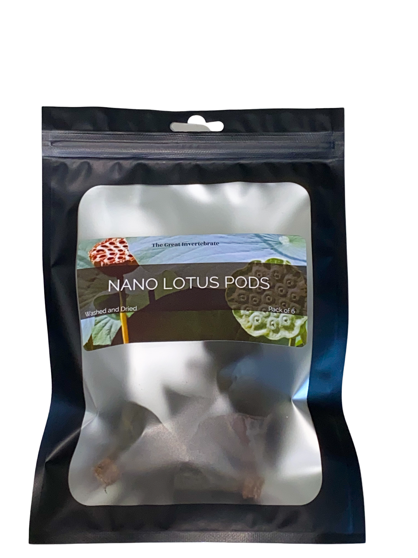 Nano Lotus Pods for Isopods, Shrimp and Other Invertebrates.