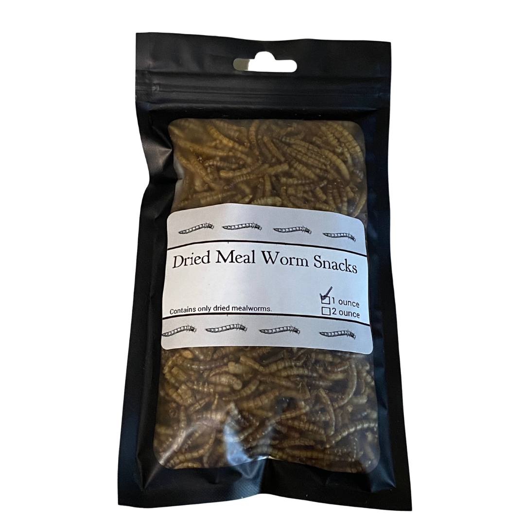 Dried Mealworm Snacks