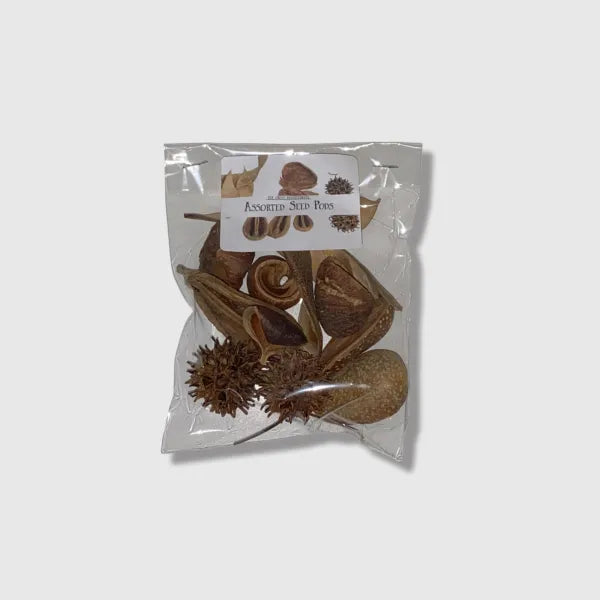 Assorted Nut/ Seed Pods for Bioactive Enclosures